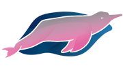 South American river dolphins