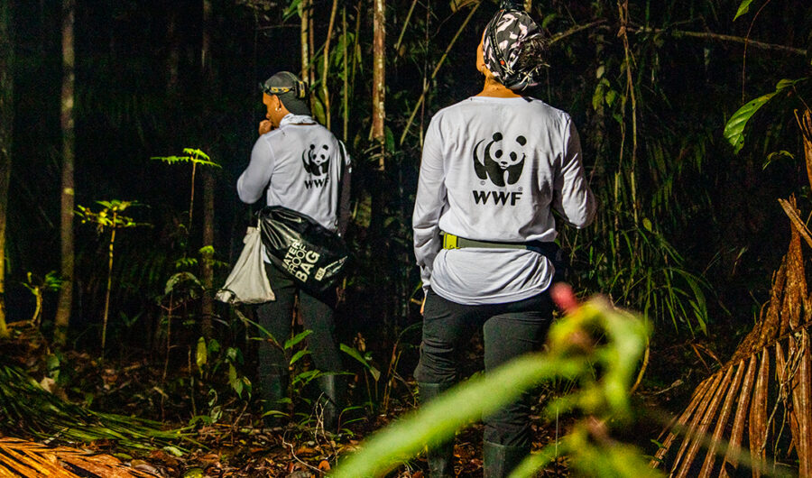 Científicos colombianos vuelven a la selva luego de un año de pandemia