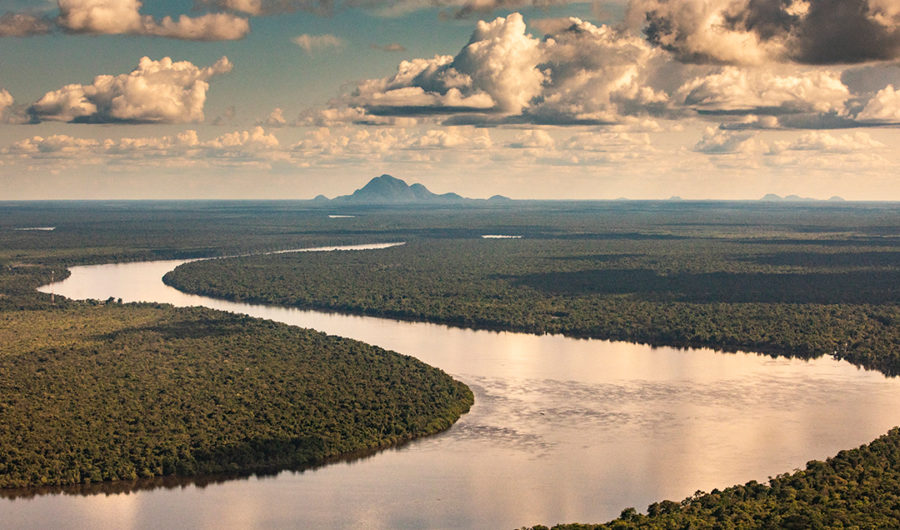 Exploramos el río Amazonas entre Colombia y Perú para conservar al delfín de río.