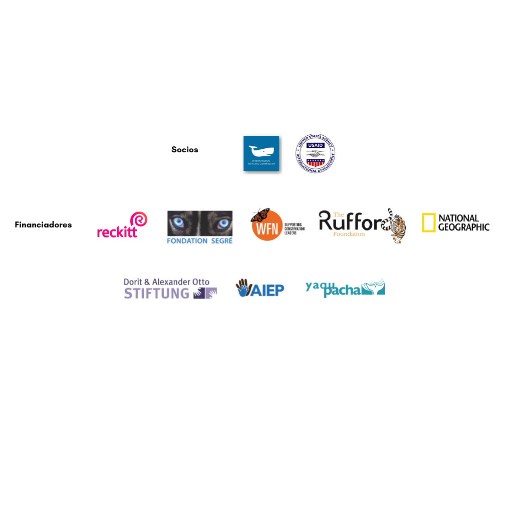 logos video delfines 2025 (1024 x 1024 px)