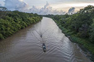 Vista aérea do Parque Nacional do Cabo Orange (AP) © WWF-Brasil/ André Dib