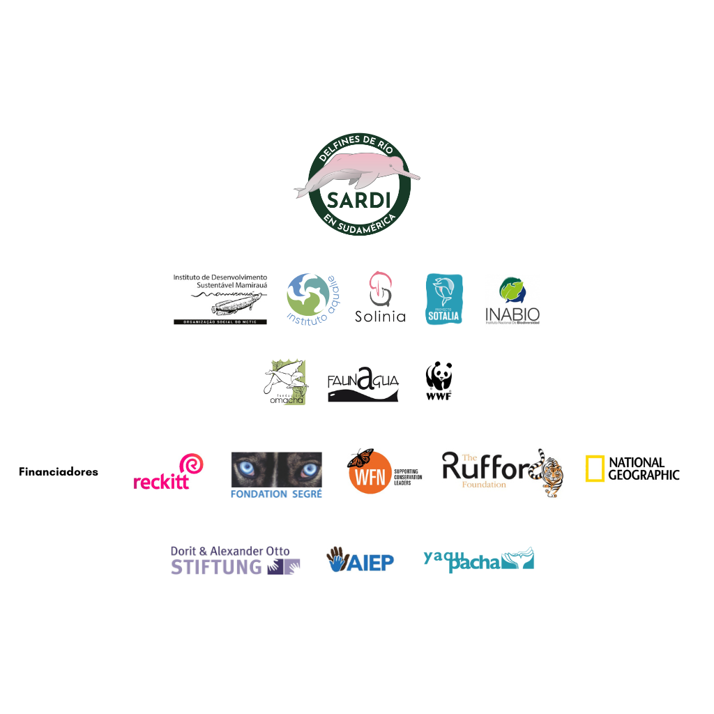 logos video delfines 2025 (1024 x 1024 px) (1)